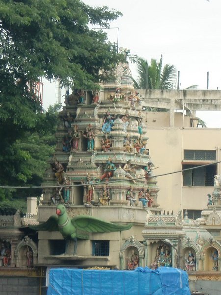 India Trip - July 2010 121.jpg